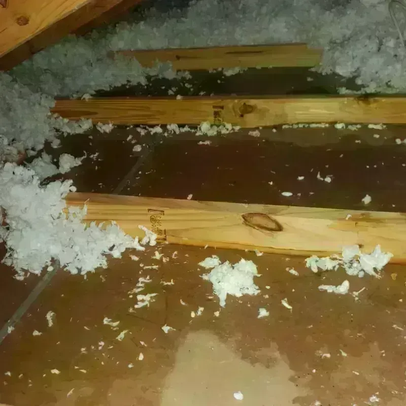 Attic Water Damage in Geneva, NE